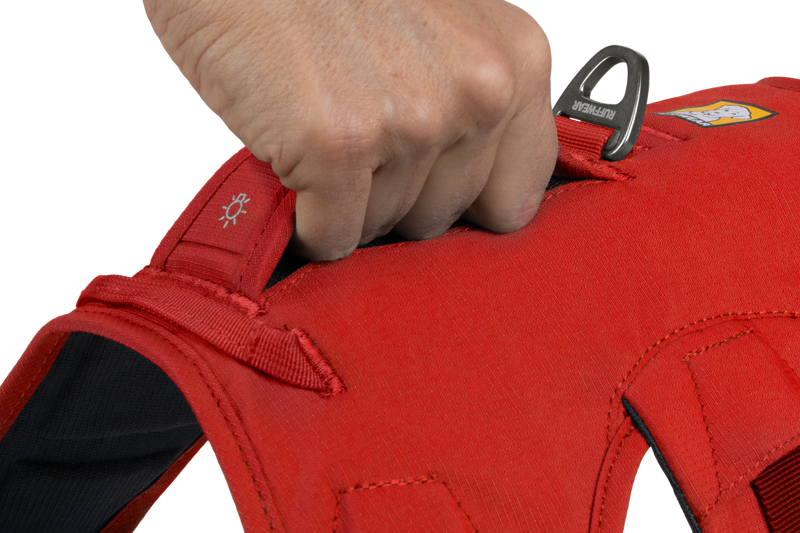 Ruffwear Web Master Harness in Red Sumac-6