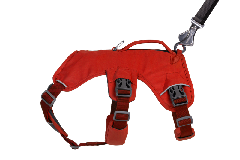 Ruffwear Web Master Harness in Red Sumac-8