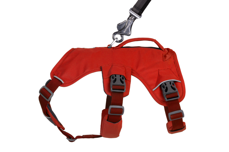 Ruffwear Web Master Harness in Red Sumac-9