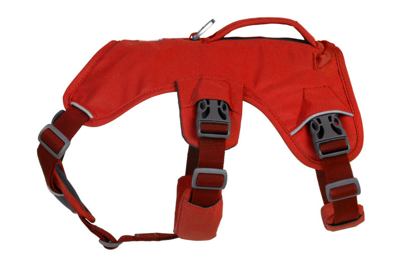 Ruffwear Web Master Harness in Red Sumac-1