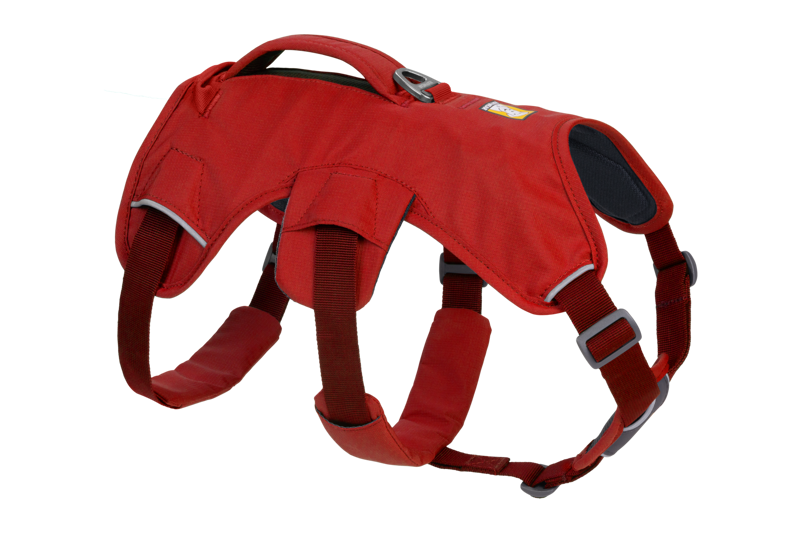 Ruffwear Web Master Harness in Red Sumac-2