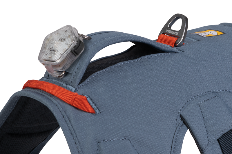 Ruffwear Web Master Harness in Slate Blue-5