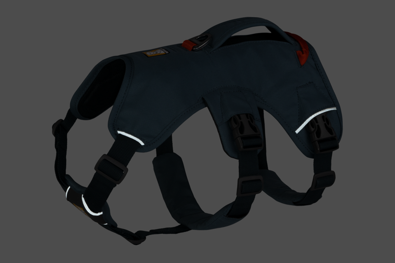 Ruffwear Web Master Harness in Slate Blue-11