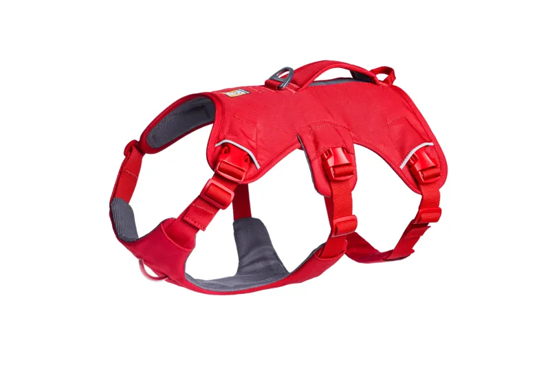 Ruffwear Web Master Dog Harness in Red Canyon