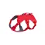 Ruffwear Web Master Dog Harness in Red Canyon