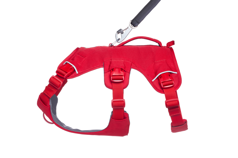 Ruffwear Web Master Dog Harness in Red Canyon-5