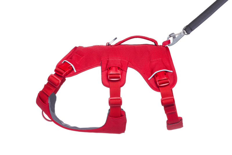 Ruffwear Web Master Dog Harness in Red Canyon-4