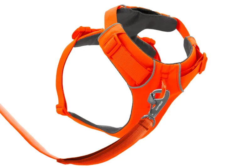 Ruffwear Front Range Dog Harness in Blaze Orange-2