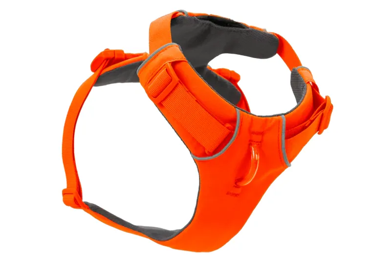 Ruffwear Front Range Dog Harness in Blaze Orange-1