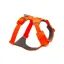 Ruffwear Front Range Dog Harness in Blaze Orange