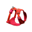 Ruffwear Front Range Flex Dog Harness in Rose Violet