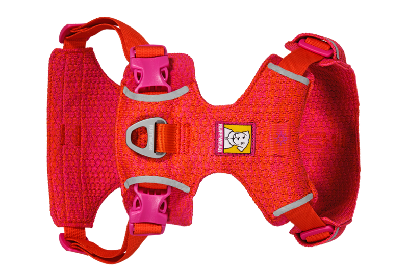 Ruffwear Front Range Flex Dog Harness in Rose Violet-3