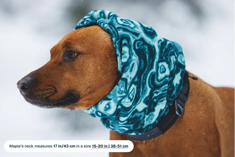 Ruffwear Mt. Hoodie Warming Neck Gaiter in Basalt Gray-8
