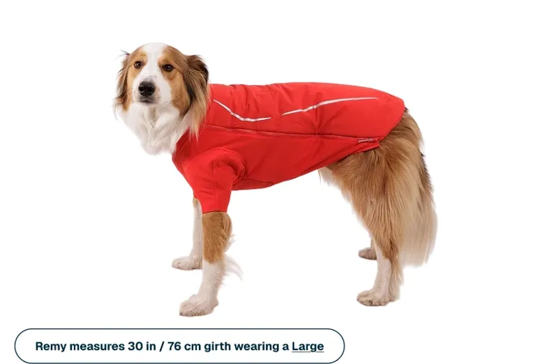Ruffwear Powder Hound Waterproof Insulated Jacket in Red Currant-7