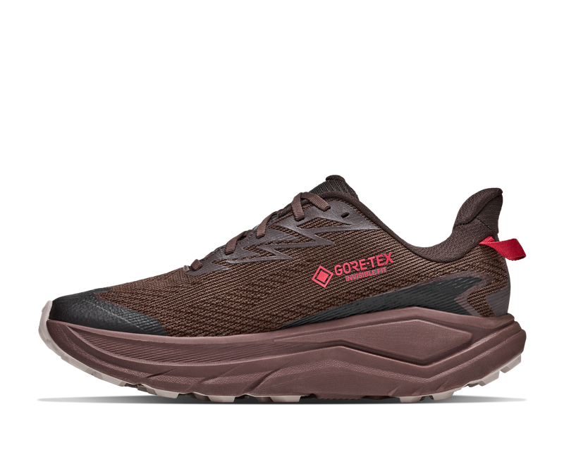 Hoka Challenger 8 Gore-Tex Mens in Spiced Chocolate/Cast Iron-3