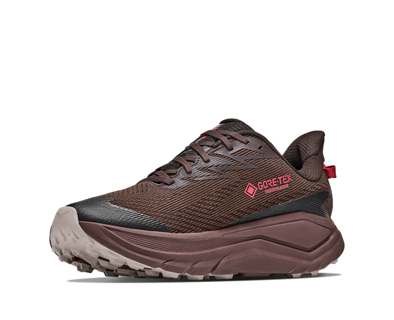 Hoka Challenger 8 Gore-Tex Mens in Spiced Chocolate/Cast Iron-4