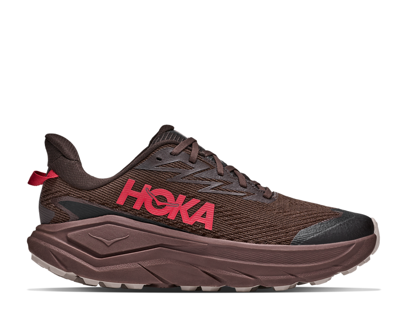 Hoka Challenger 8 Gore-Tex Mens in Spiced Chocolate/Cast Iron