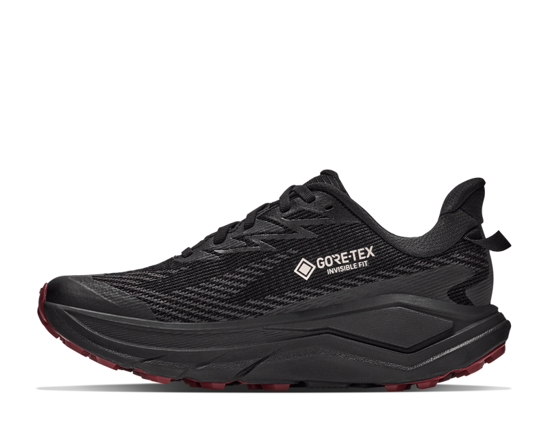 Hoka Challenger 8 Gore-Tex Womens in Smoky Quartz/Alabaster-3