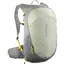 Salomon Trailblazer 20 in Sedona Sage/Seagrass/Cress Green
