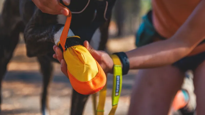 Ruffwear Summit Trex Dog Shoe in Sunrise Yellow-4