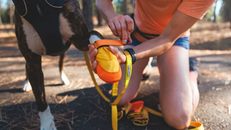 Ruffwear Summit Trex Dog Shoe in Sunrise Yellow-5