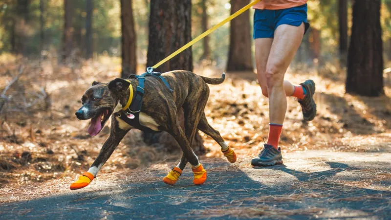Ruffwear Summit Trex Dog Shoe in Sunrise Yellow-6