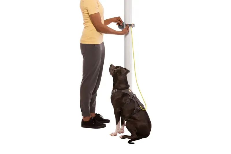 Ruffwear Hitch Hiker Dog Leash in Slate Blue-12