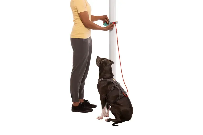 Ruffwear Hitch Hiker Leash in Aurora Teal-12