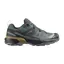Salomon X Ultra 360 GTX Mens in Urban Chic/Black/Plantation