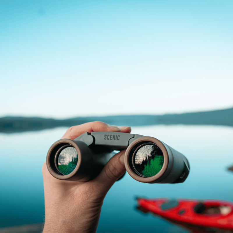 Silva Binoculars Scenic 8-1