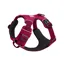 Ruffwear Front Range Dog Harness Hibiscus Pink - Large/XLarge
