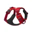 Ruffwear Front Range Dog Harness in Red Sumac