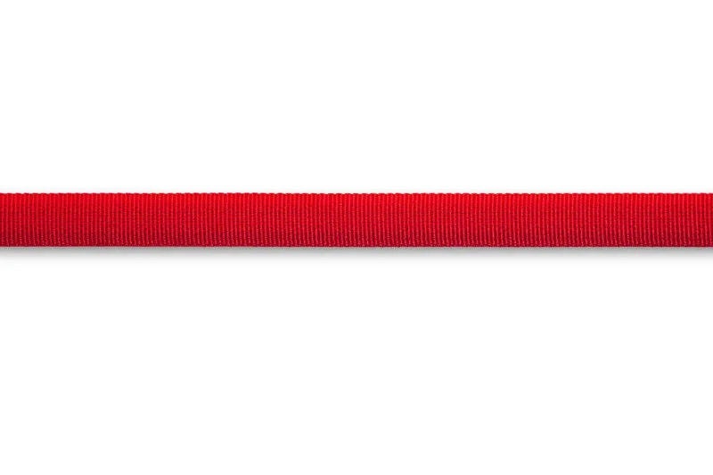 Ruffwear Front Range Dog Leash in Red Sumac-4
