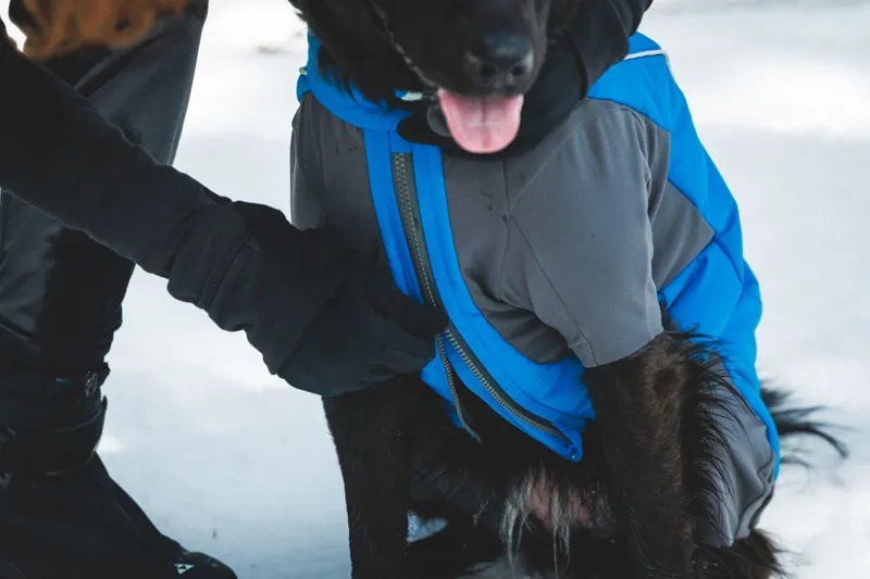 Ruffwear Vert Coverall in Blue Pool-7