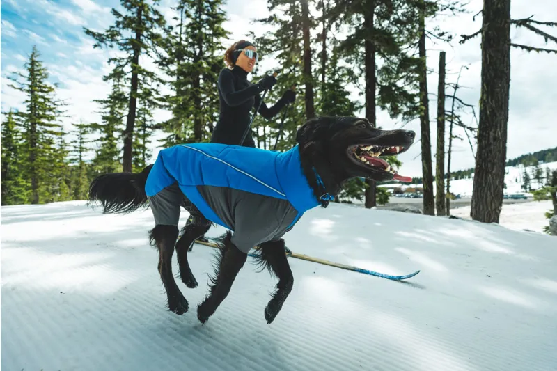 Ruffwear Vert Coverall in Blue Pool-8