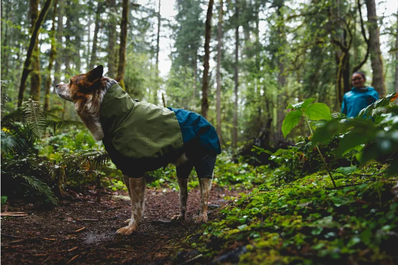 Ruffwear Sun Shower Coverall in Midnight Blue-5