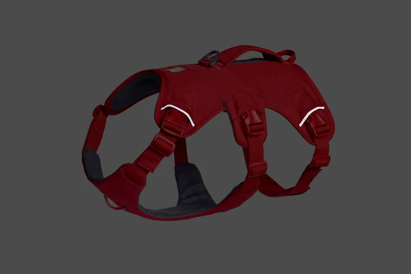 Ruffwear Web Master Dog Harness in Red Canyon-6