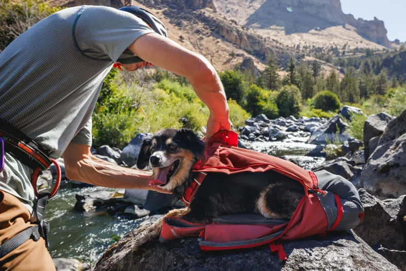 Ruffwear Hitch Hiker Dog Backpack Carrier in Red Clay-4