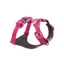 Ruffwear Front Range Dog Harness in Pink Mountains