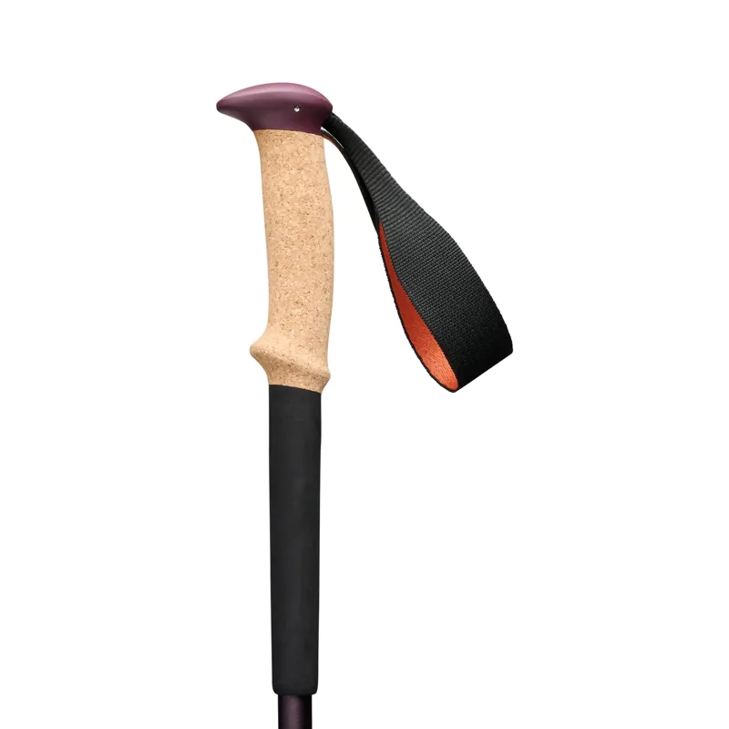 Black Diamond Trail Cork Trekking Poles in Fig-2