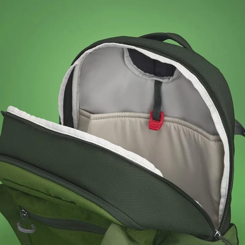 Osprey Daylite Plus Daypack in Green Belt/Green Canopy-13