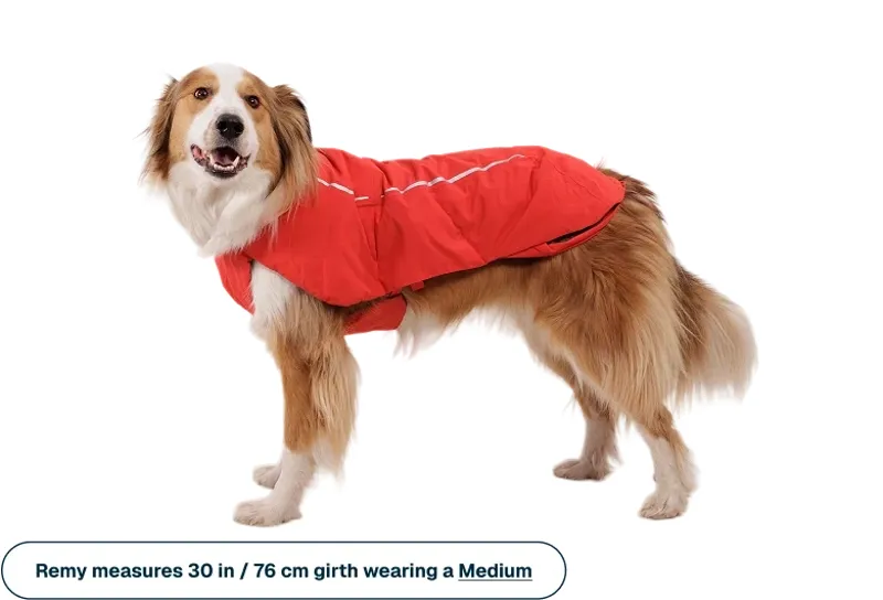 Ruffwear Powder Hound Waterproof Insulated Vest in Red Currant-7