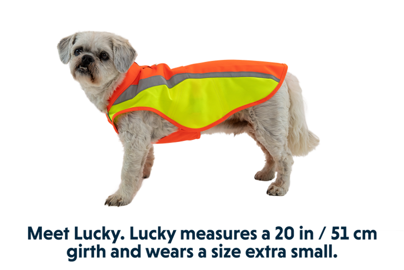 Ruffwear Lumenglow Hi-Vis Dog Vest in Blaze Orange-9