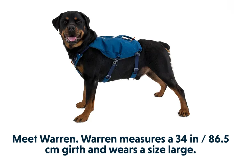 Ruffwear Switchbak Dog Harness in Granite Grey-5
