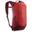 Salomon Trailblazer 10 in Red Dahlia/High Risk Red