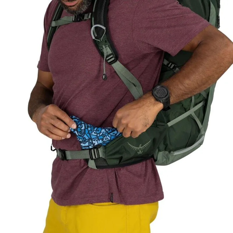 Osprey Talon 33 in Green Canopy/Pine Leaf-7