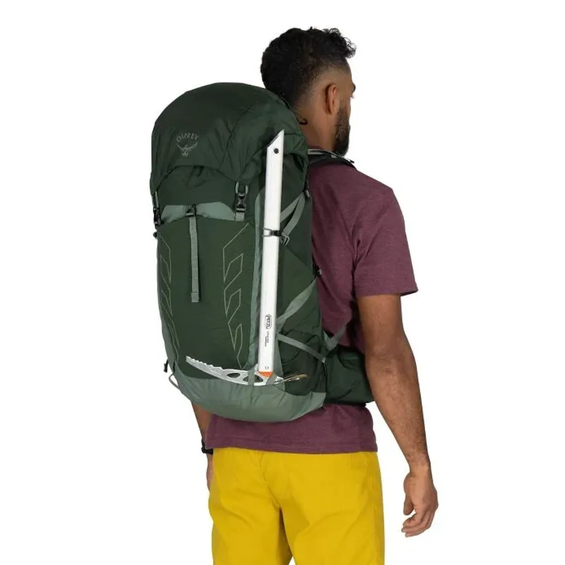 Osprey Talon 33 in Green Canopy/Pine Leaf-2