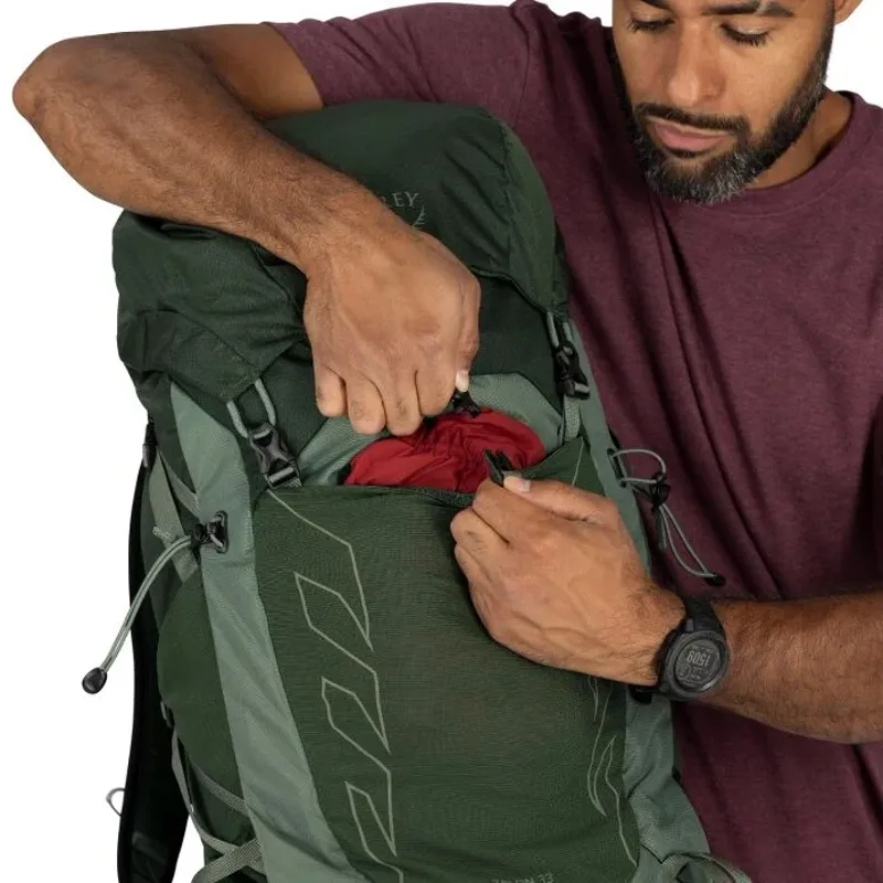 Osprey Talon 33 in Green Canopy/Pine Leaf-8