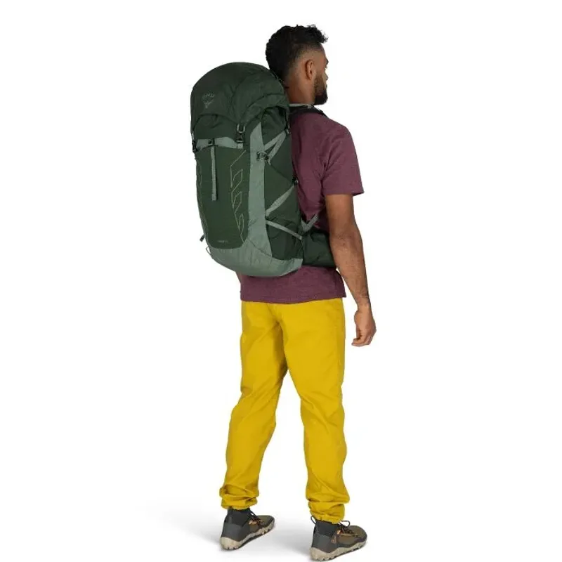 Osprey Talon 33 in Green Canopy/Pine Leaf-4