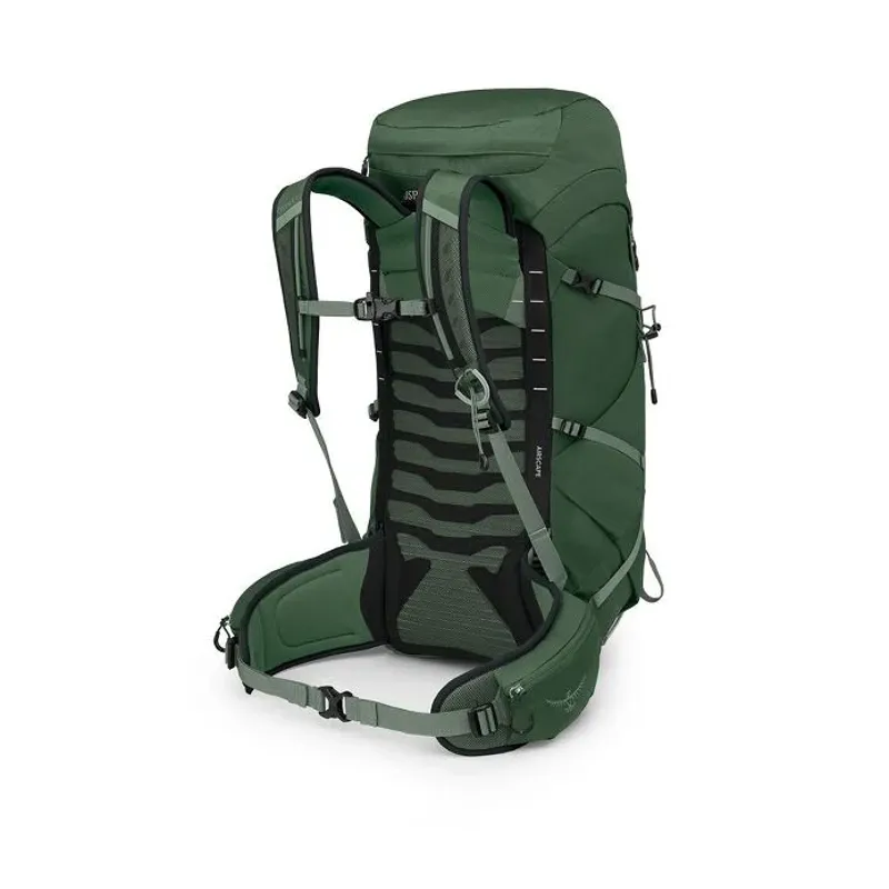 Osprey Talon 33 in Green Canopy/Pine Leaf-1